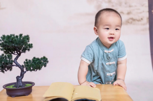 借卵生子咨询可爱的企鹅宝宝